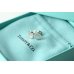 画像2: TIFFANY&Co[ティファニー]　”ティファニーノーツ” ノーツTiffany & Co.ピアス　並行輸入品t3012 (2)