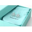 画像2: TIFFANY&Co[ティファニー]  ハート クロバー ピアス 並行輸入品t3020 (2)